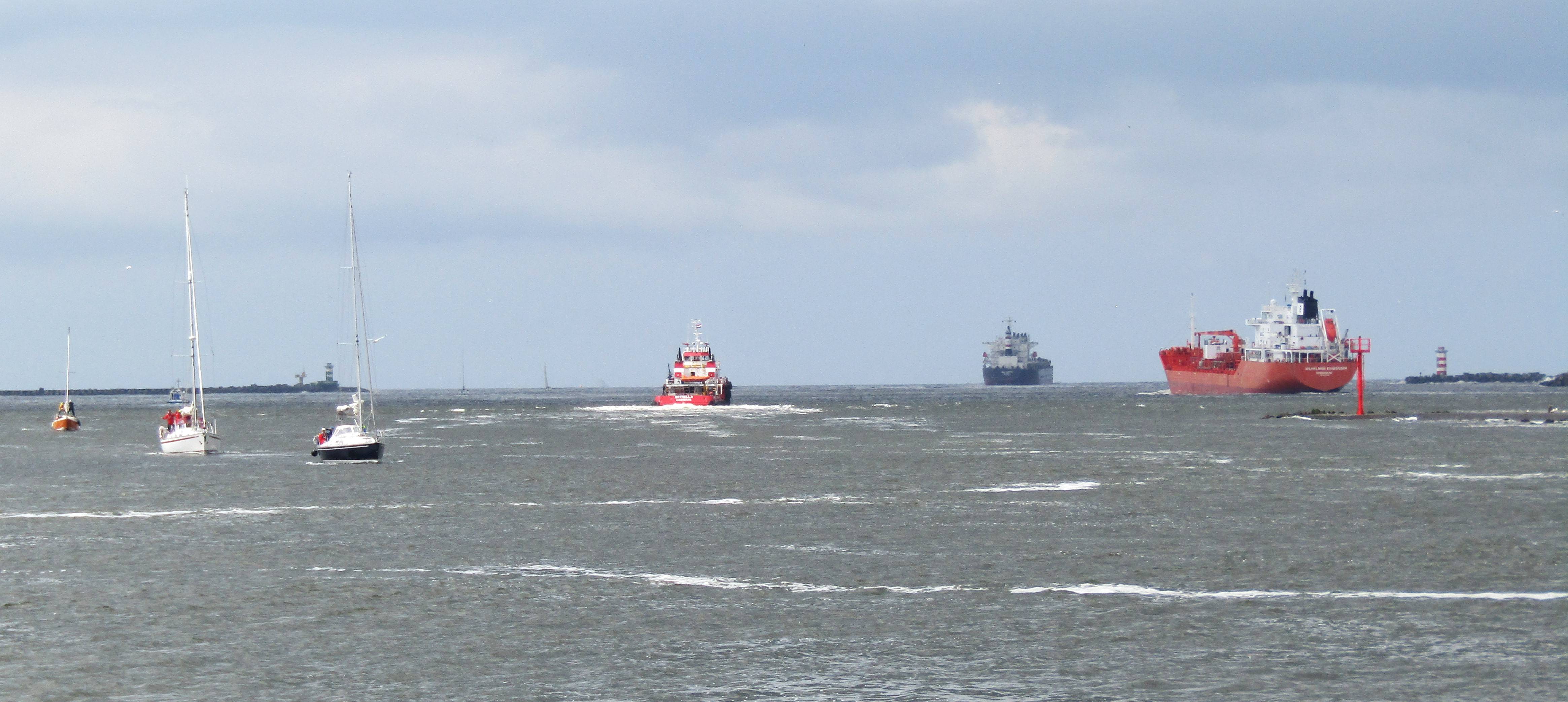 Pieren IJmuiden   31-05-24 